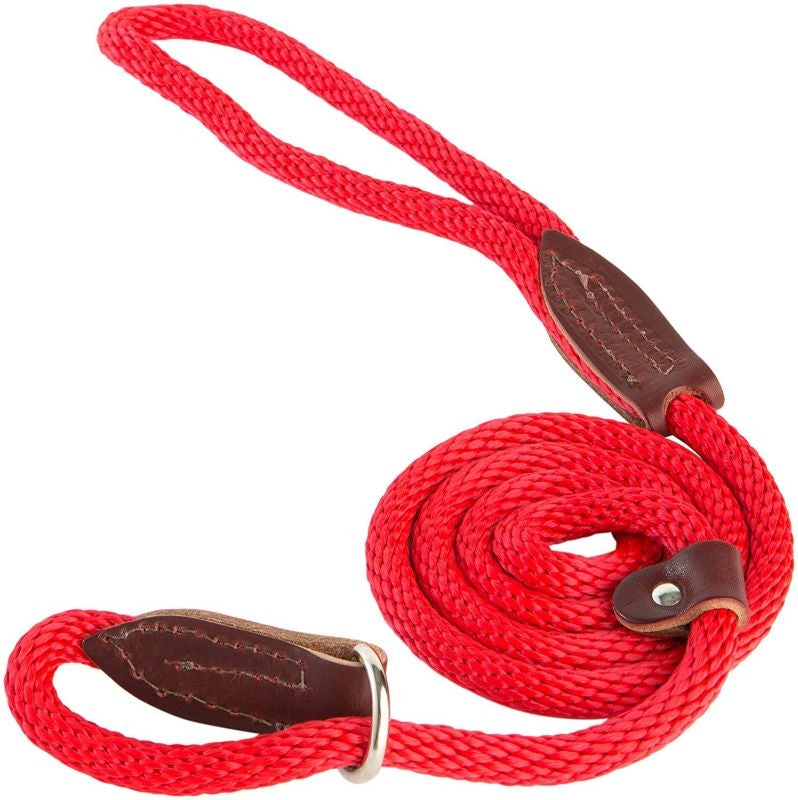 Leather slip leashes for fashion dogs