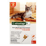 Cat Flea & Tick Control