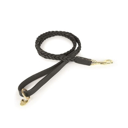 Shires Digby & Fox Plaited Dog Lead