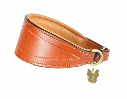 Shires Digby & Fox Padded Greyhound Collar