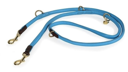 Shires Digby & Fox Rolled Leather Dog Training Lead