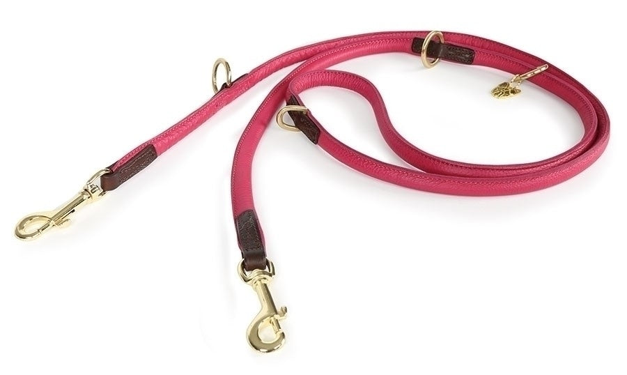 Shires Digby & Fox Rolled Leather Dog Training Lead