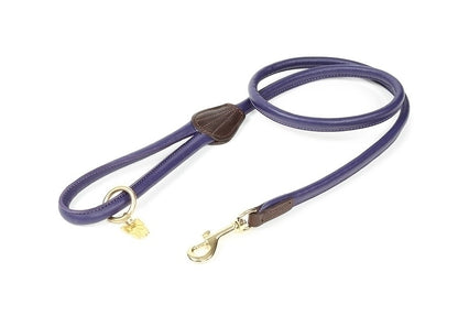 Shires Digby & Fox Rolled Leather Dog Training Lead