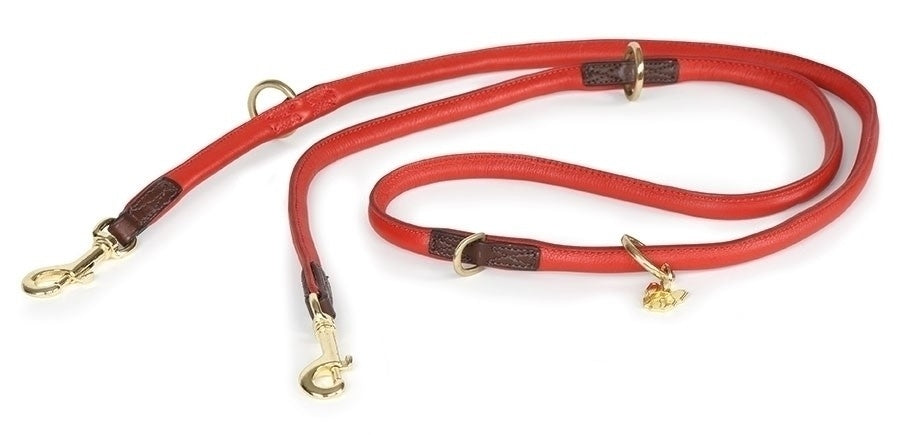 Shires Digby & Fox Rolled Leather Dog Training Lead