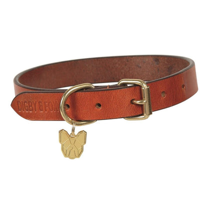 Shires Digby & Fox Flat Leather Dog Collar