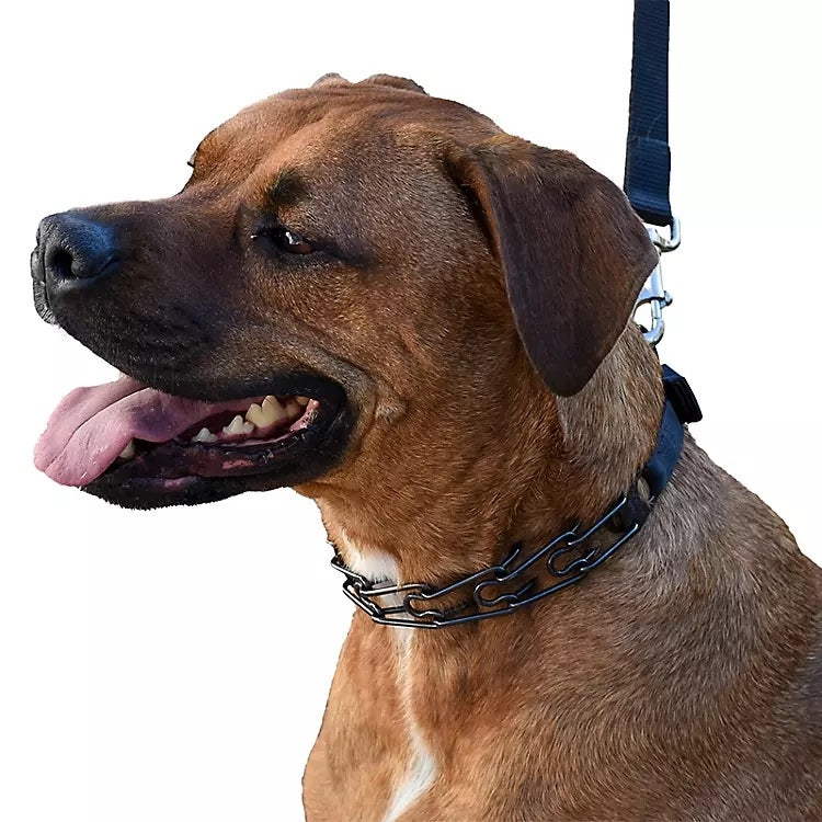 Herm Sprenger Ultra-Plus Dog Prong Collar