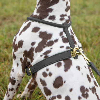 Shires Digby & Fox Rolled Leather Harness