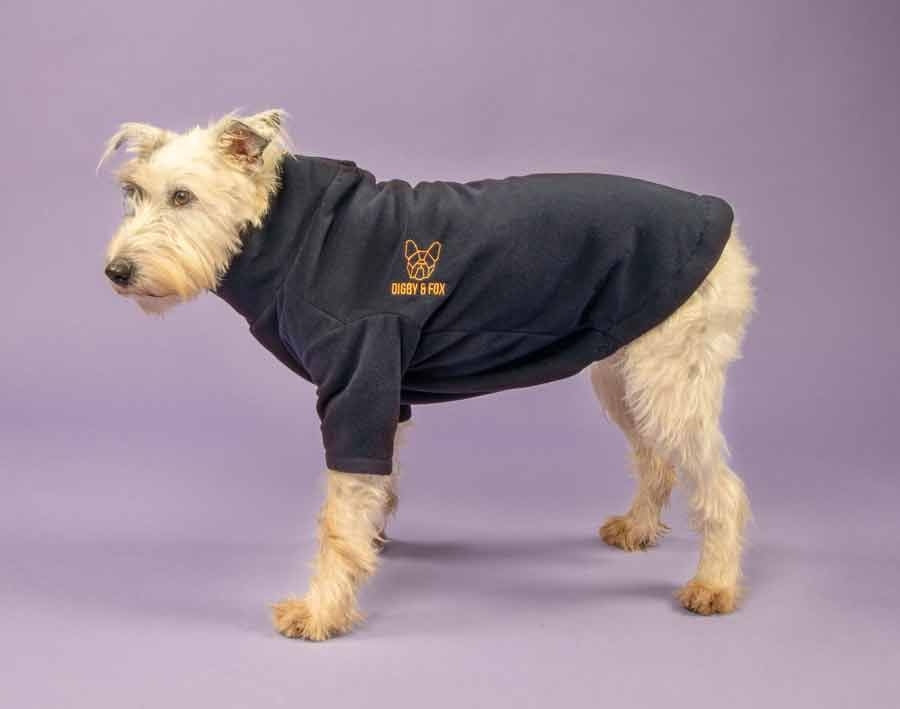 Shires Digby & Fox Fleece Dog Jumper