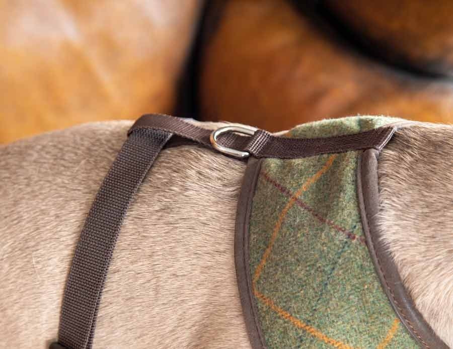 Shires Digby & Fox Tweed Dog Harness