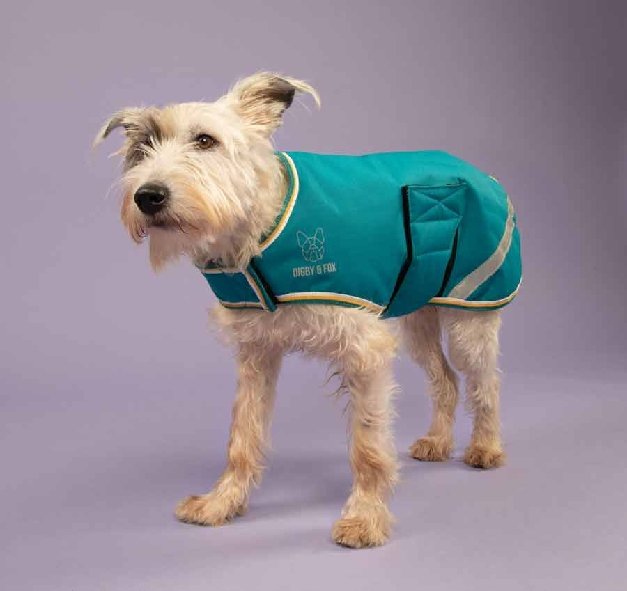 Shires Digby & Fox Waterproof Dog Coat