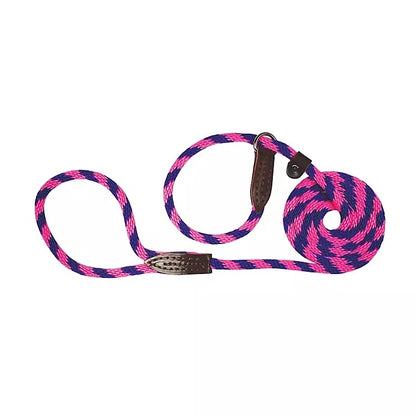 Slip Lead for Dogs