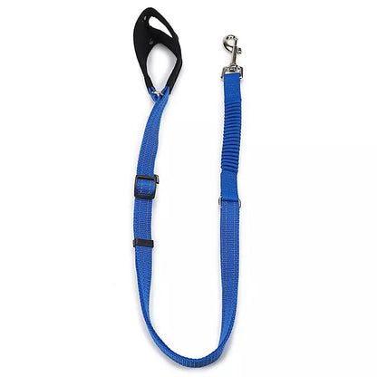 PetSafe Sport Dog Leash