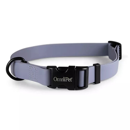 Carnival Waterproof Dog Collar