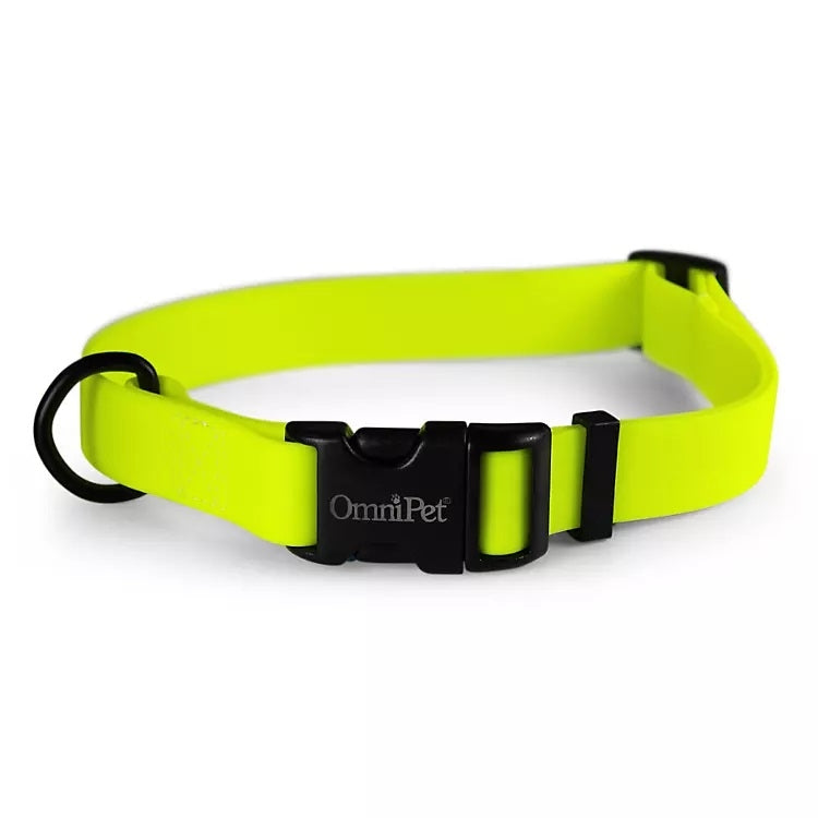 Carnival Waterproof Dog Collar