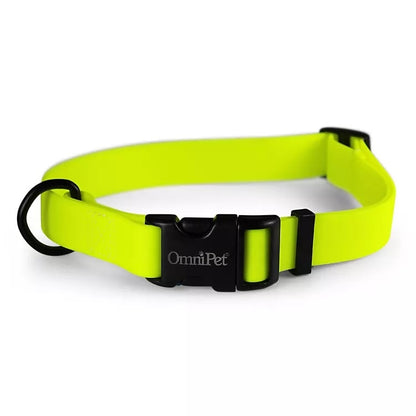 Carnival Waterproof Dog Collar