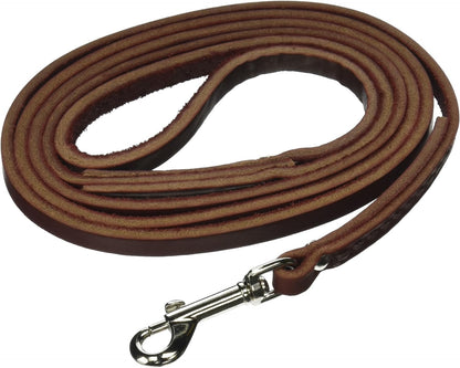 Latigo Dog Lead