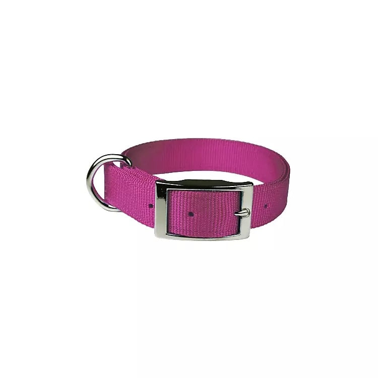 Double Layer Dog Collar