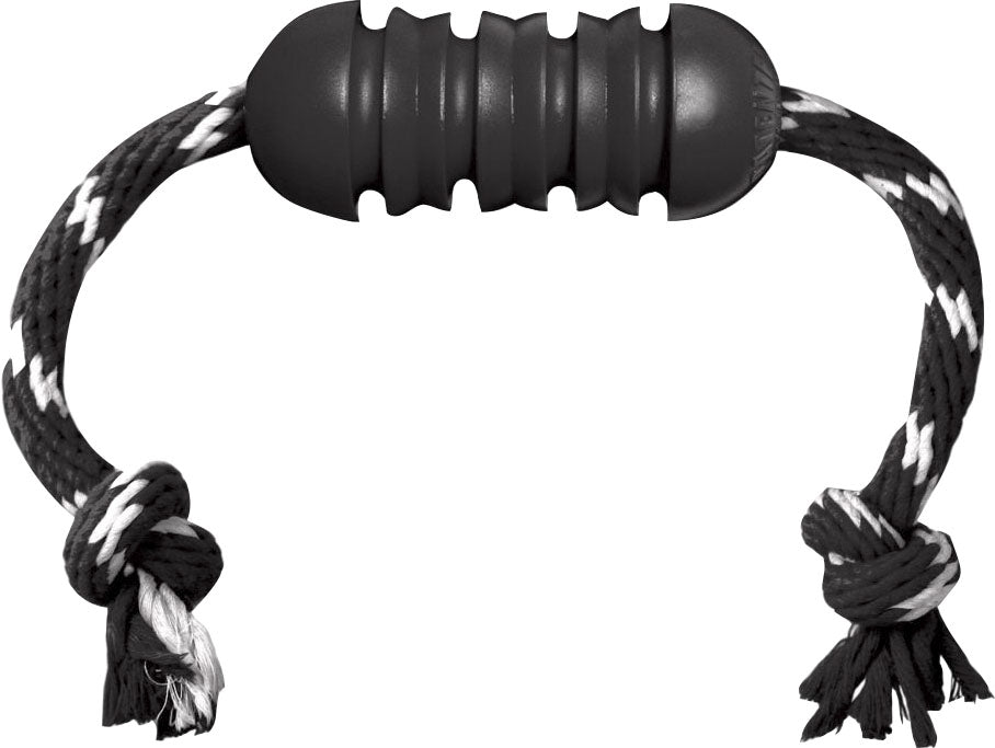 KONG Extreme Dental with Rope Dog Toy