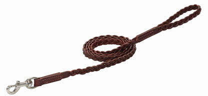 Weaver Braided Dog Leash