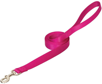 Weaver Prism Choice Nylon Leash