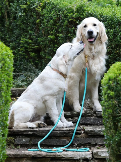 Shires Digby & Fox Reflective Dog Lead