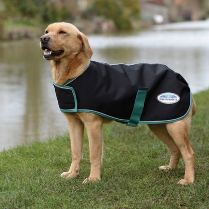 Weatherbeeta Green-Tec 900D Medium Weight Dog Coat