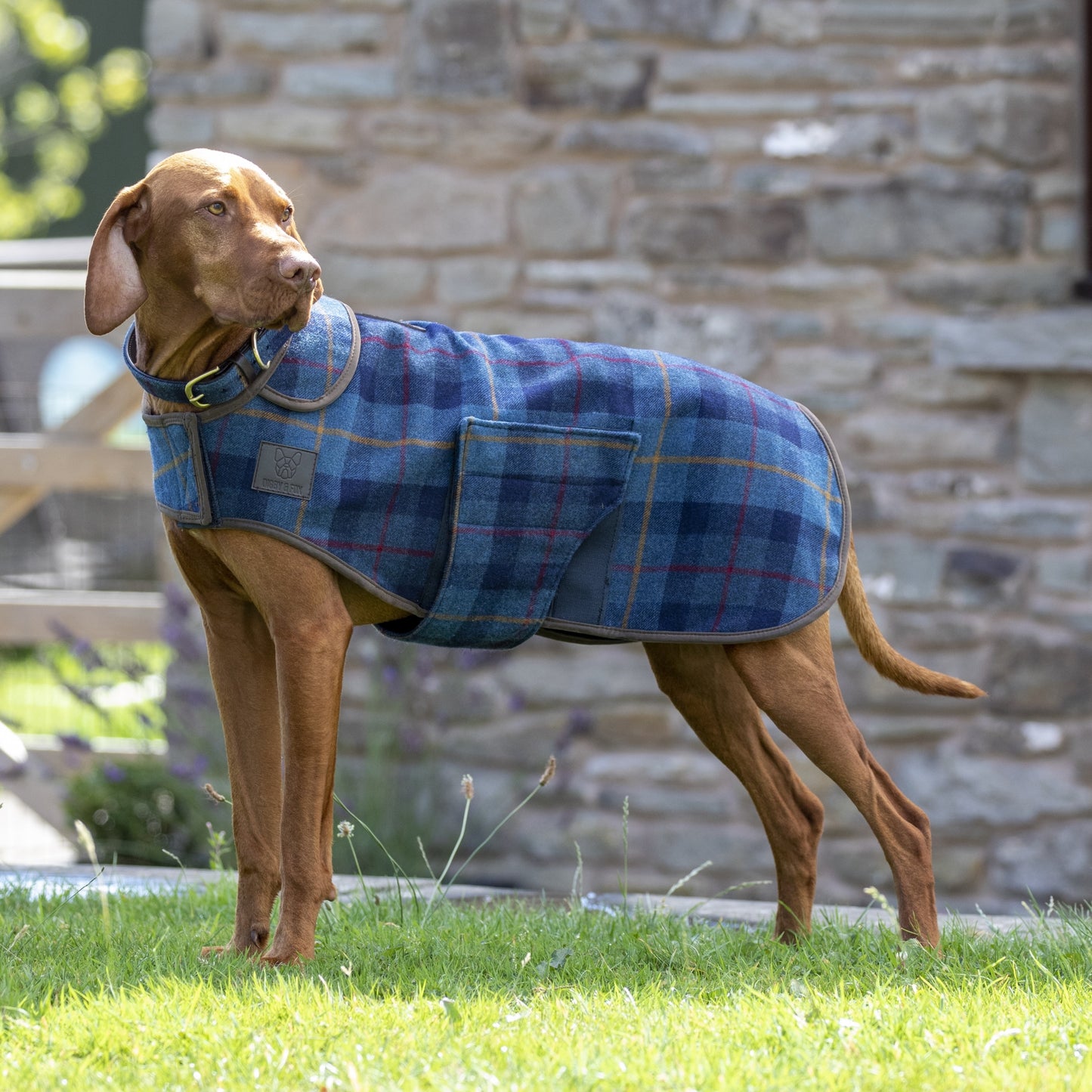 Shires Digby & Fox Tweed Dog Coat