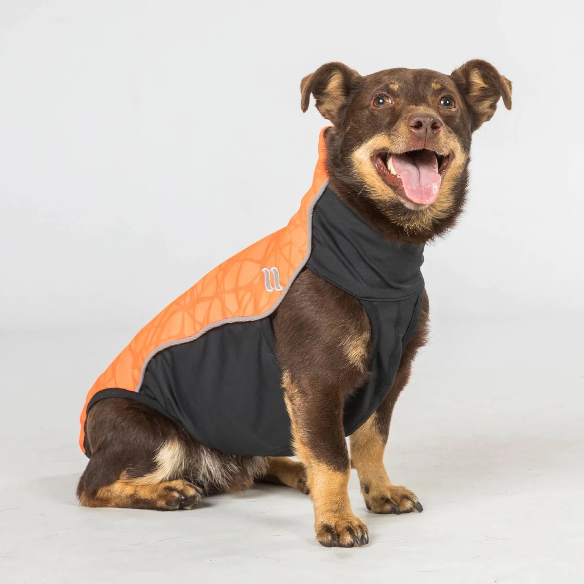 Back on Track Eddie High Visibility Reflective Dog Jumper