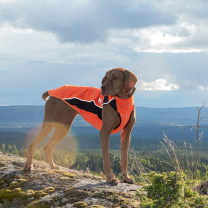 Back on Track Eddie High Visibility Reflective Dog Jumper