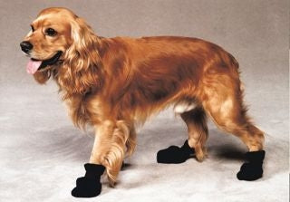 NEED DRY FEET? Dog Non-Skid Boots for Rain and Snow