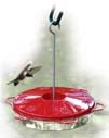 Classic Hummingbird Feeder Fill With Nectar