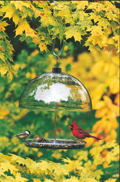 Dorothy's Cardinal Feeder