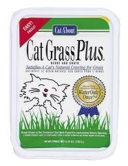 Cat Grass Plus Catnip Seeds