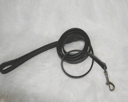 Hamilton Heavy Leather Lead For Dogs