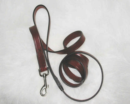 Hamilton Heavy Leather Lead For Dogs