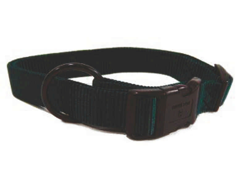 Adjustable Nylon Dog Collar