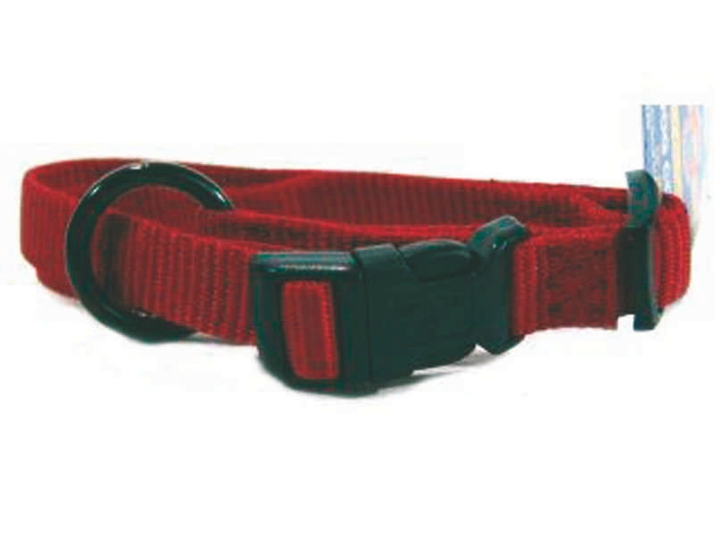 Adjustable Nylon Dog Collar