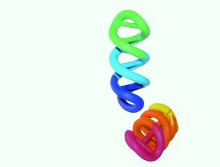 DNA Rubber Dog Toy