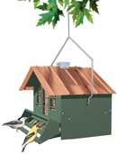 Squirrel-Be-Gone Ii Bird Home 13x11.5x12.75 Green