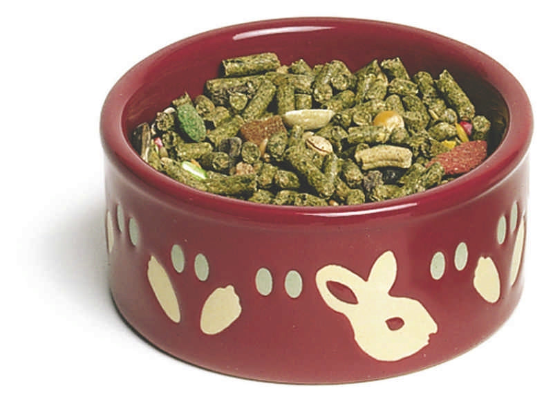 Bunny Pawprint Petware Dish For Bunnies