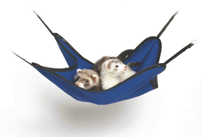 Ferret Hanging Hammock