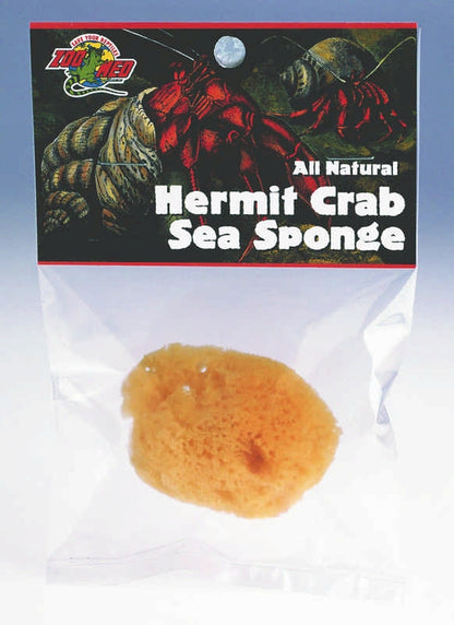 Sea Sponge For Hermit Crabs