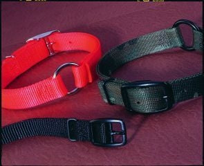 Safe-Rite Dog Collar With Tape