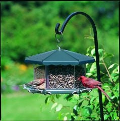 Party Bird Feeder