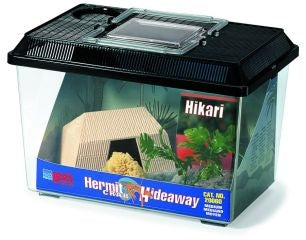 Hermit Crab Hideaway Kit