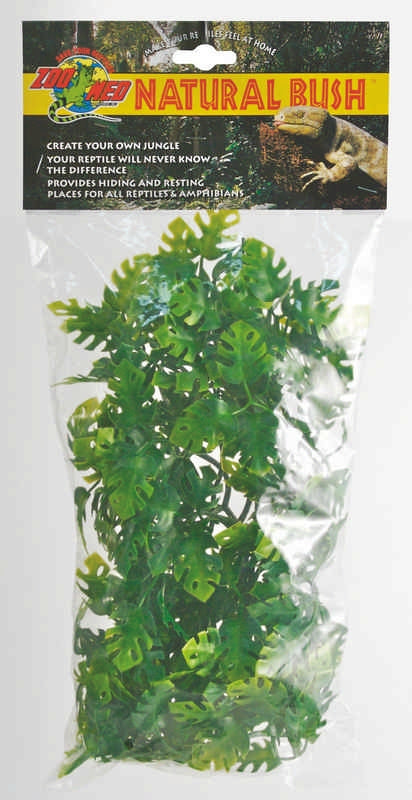 Plant Amazon Phyllos Medium Green