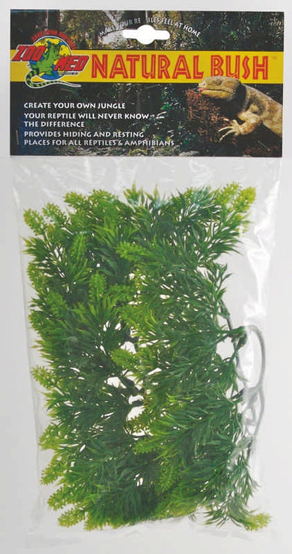 Plant Malaysian Fern Small Green