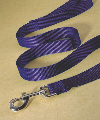 Hamilton 1'' Deluxe Single Thick Nylon Dog Lead Leash