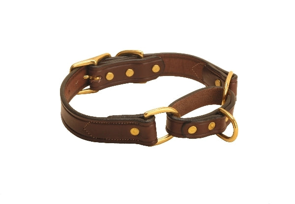 Tory Leather Martingale Leather Dog Collar