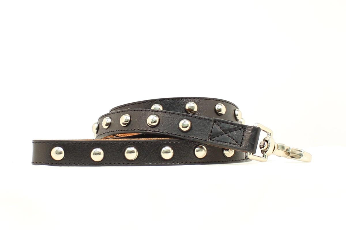 Double Barrel Nailheads Leash